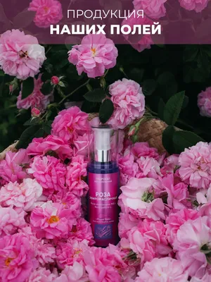 Rose de Rose LIBREDERM: нейрокосметический антивозрастной уход