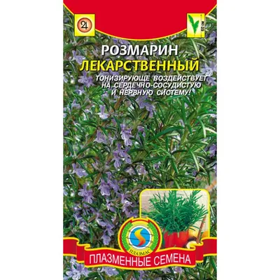 Купить семена Розмарин ДОМАШНИЙ ДОКТОР лекарственный (0,05 гр) в магазине  ГринПрофи Тольятти