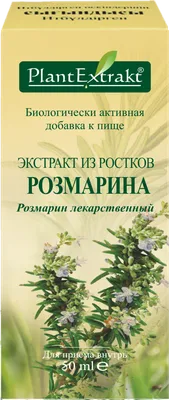 Розмарин лекарственный Росинка 10 шт купить недорого в интернет-магазине  товаров для сада Бауцентр