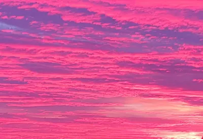 Какое необычное розовое небо над Химками было около часа назад! 🩷  Метеорологи называют розовый закат редким.. | ВКонтакте