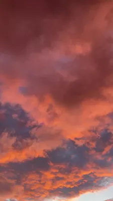 Розовое небо с облаками - 69 фото