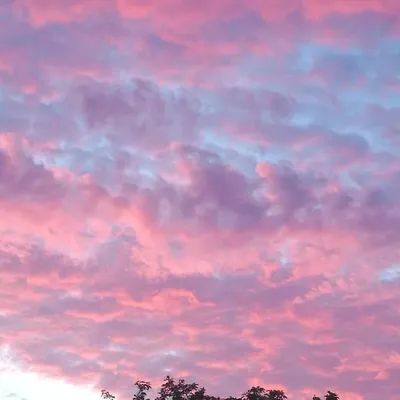 Утро 30 октября. Розовое небо. 🐽 | Instagram