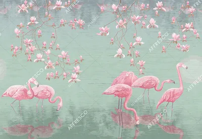 Красивая и милая розовая птица фламинго в воде | Премиум Фото