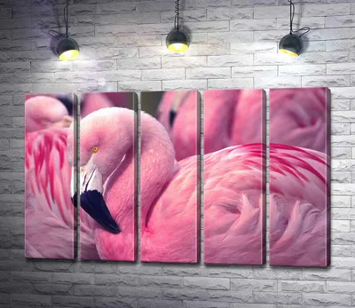 Флизелиновые фото обои птицы 368х254 см Розовые фламинго (10199V8)+клей  (ID#1070763330), цена: 1800 ₴, купить на Prom.ua