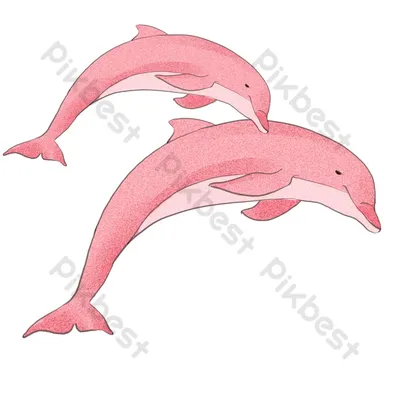 Новое поступление, 30 см, милый мягкий розовый дельфин, плюшевая игрушка,  морские животные, мягкие игрушки, детские игрушки, диван, искусственный  декор, подарок | AliExpress