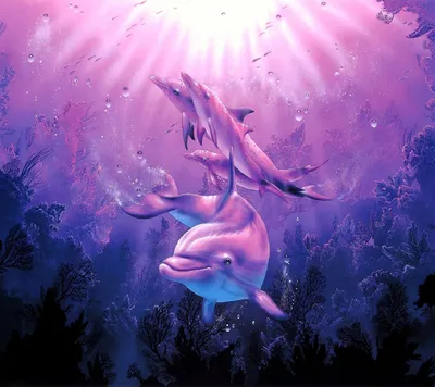 Розовый дельфин :: Svetlana Galvez – Социальная сеть ФотоКто