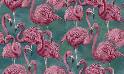 Обои зеленые с изображением розовых фламинго SIRPI винил Фламинго арт.  10364-04 купить по цене 5 291 р. руб. с доставкой в Санкт-Петербурге