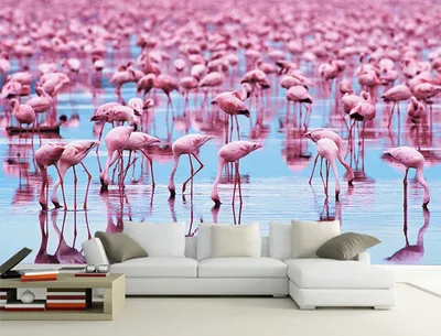 Фотообои бесшовные флизелиновые экологически чистые Caribbean flamingo  птицы розовый фламинго на траве (ID#1270776297), цена: 974 ₴, купить на  Prom.ua