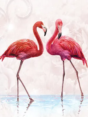 Птицы фото обои 184x254 см Розовые фламинго (10199P4A)+клей купить по цене  850,00 грн