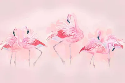 Розовый фламинго фото обои 368x254 см птички Фламинго и брызги краски  (12273P8)+клей купить по цене 1200,00 грн
