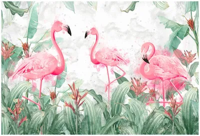 Скачать обои вода, розовый фламинго, отражение, фон, фламинго разрешение  1920x1345 #144701