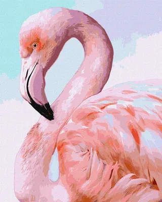 Розовый фламинго экзотическая тропическая птица характер изолированное  дикое животное природа дикая фауна милая африканская птица стоит | Премиум  векторы