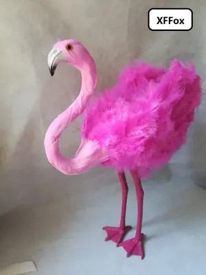 В Украину впервые прилетела стая розовых фламинго