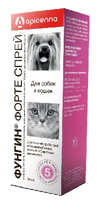 Лишай у кошек - чем лечить? | ProPlan