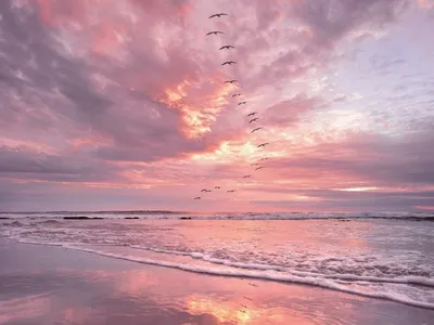 LIVE NOW - Розовый закат на море | Facebook
