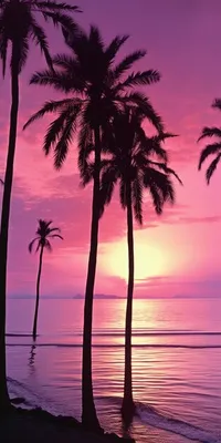 Розовый Закат На Море — стоковые фотографии и другие картинки Пляж - Пляж,  Без людей, Береговая линия - iStock