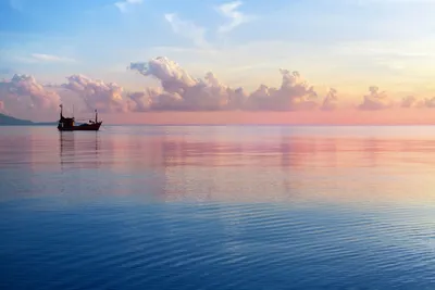 Купить фотообои Закаты «Розовый закат на море-отключен по претензии  правообладателя» | PINEGIN