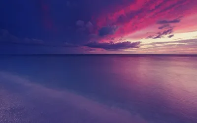 Лиловое море (53 фото) - 53 фото