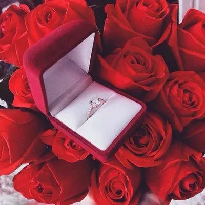 Красные розы и кольцо с бриллиантом в коробке Стоковое Изображение -  изображение насчитывающей диамант, красивейшее: 134034771