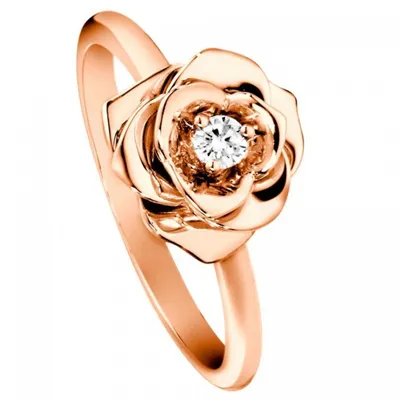 Розы и кольцо на столе стоковое фото. изображение насчитывающей диамант -  178463626