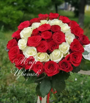 Красные розы и золотые кольца на белом | Премиум Фото