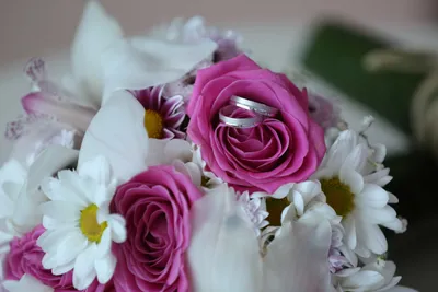 Букет малиновых роз, кольцо, гипер …» — создано в Шедевруме