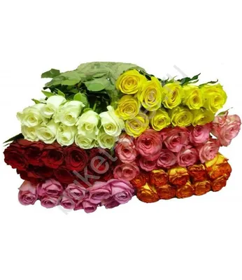 Букет из 29 Кенийских роз (35 см) за 3290р. Позиция № 1233