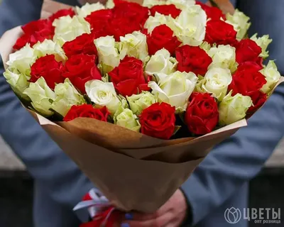 Купить Роза Кения 35см Акция, в магазине Букет-СПб - Доставка цветов в  Санкт-Петербурге недорого | Заказать букет с доставкой в Букет-Питер