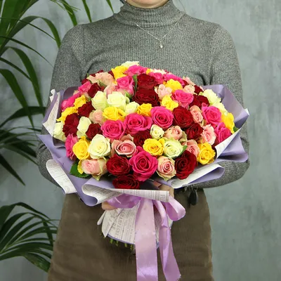Розы Кения красные 35 шт купить с доставкой по цене 5195 ₽ в Нижнем  Новгороде | Букеты от База Цветов 24