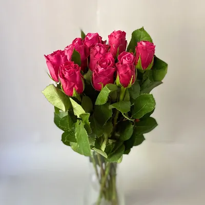 Набор размер L с букетом 35 красных и белых роз Кения (50 см) - na-dr.ru