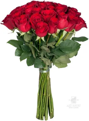 Красные розы | Red roses, Flowers bouquet gift, Red roses wallpaper