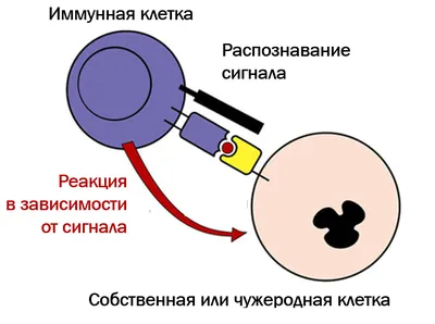 Журнал «Медицина світу» - Журнал для широкого кола лікарів