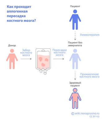 После пересадки – Кровь5