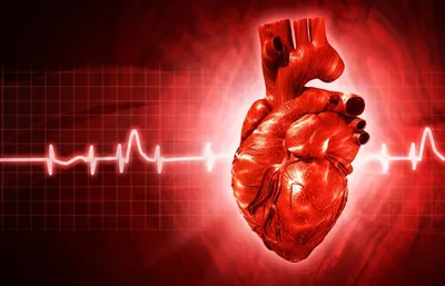 Растворил рубец на сердце»: врачи рассказали, эффективно ли горячее  обертывание при коронавирусе - KP.RU