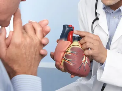 Почему случается инфаркт миокарда? | Доктор Жизнь | Дзен