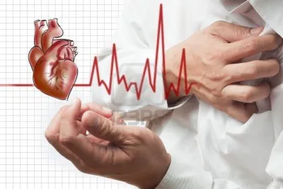 Методы патологического исследования сердца в случая смерти от ишеми