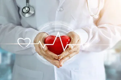 Тропоэластин: Найден способ полностью восстановить сердце после инфаркта