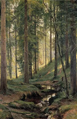 Файл:Шишкин И. И. (1880) Ручей в лесу (На косогоре).jpg — Википедия