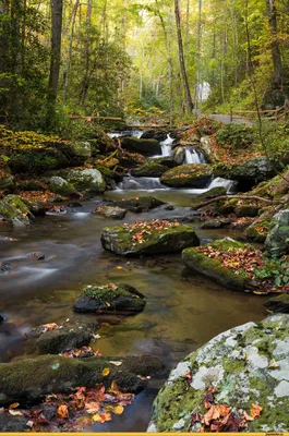 Шишкин Иван - Лесной ручей - Русская школа - XIX век - Shishkin Ivan -  Forest Brook - Russian School - 19th Century Stock Photo - Alamy