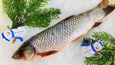 Амур из Франции?»: псковичи в соцсетях спорят о снимке рыбы