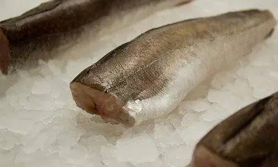 Рыба «Аргентина», б/г, свежемороженая, 1 кг - цена по скидкам и акциям в  листовке Корона Минска