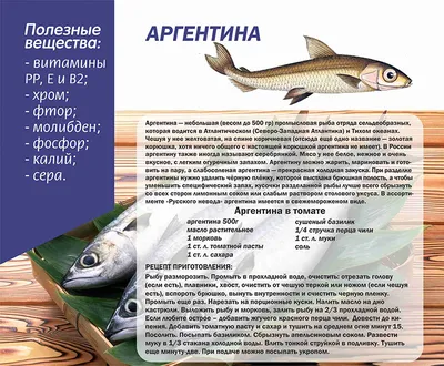 Продам/купить рыба свежемороженая из Аргентины, Санкт-Петербург —  Agro-Russia