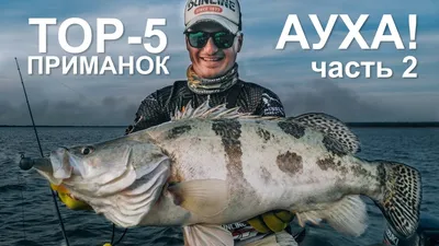 Рыбаки и Охотники 27RUS (@fishermen_and_hunters_27rus) • Instagram photos  and videos