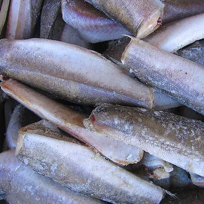 Почему закрываются рыбоводные фермы? — Ара Кандалян на TenChat.ru