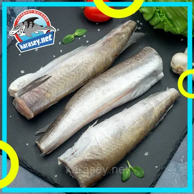 Аргентинский хек (Merluccius hubbsi) - sharkseafoods.com