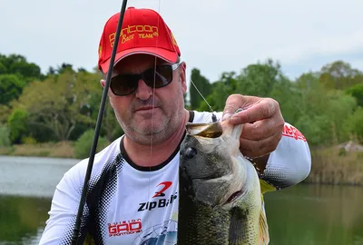 Рыбалка Спорт Largemouth Басс Рыба Поймать Лето Озеро Шамплейн Ny —  стоковые фотографии и другие картинки Вертикальный - iStock