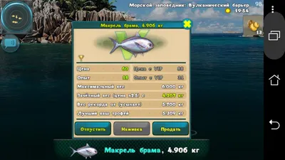 Серебряный брама - рыба стоковое изображение. изображение насчитывающей  естественно - 152386491