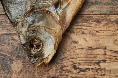 рыбы Brama Abramis пресноводные Стоковое Фото - изображение насчитывающей  глаза, ангстрома: 11185068