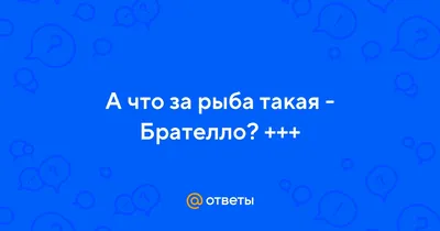 Как приготовить рыбу в духовке: рецепт Евгения Клопотенко