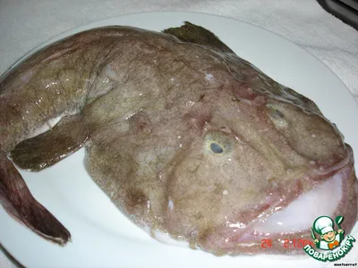 Рыба РАПЕ или морской черт – кулинарный рецепт